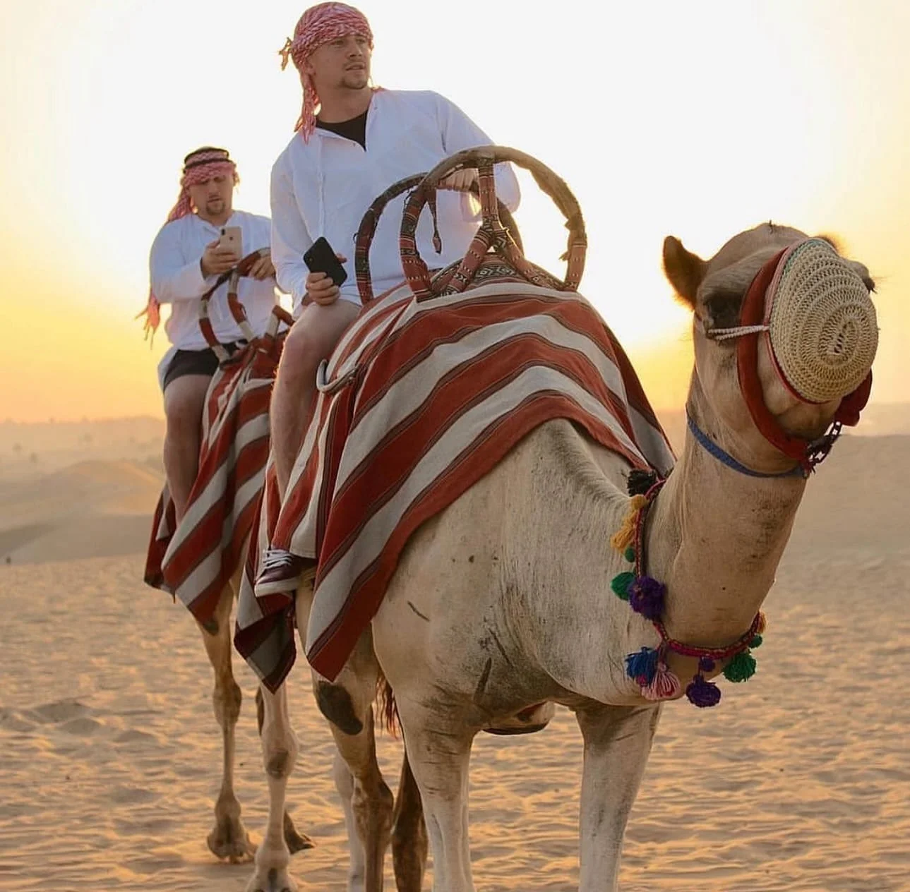 WhatsApp-Image-2024-04-27-at-114651-PM